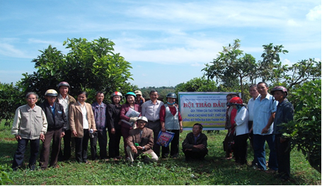 Công trình “Nghiên cứu và phát triển giống bơ LĐ 034 phục vụ chương trình chuyển đổi cơ cấu giống cây trồng ở tỉnh Lâm Đồng và các tỉnh Tây Nguyên”