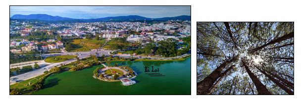 SỰ CHUYỂN MÌNH CỦA NHÓM ĐẤT NÔNG NGHIỆP  TRONG QUY HOẠCH XÂY DỰNG VÀ PHÁT TRIỂN ĐÔ THỊ, NÔNG THÔN (GÓC NHÌN TỪ THỰC TẾ QUẢN LÝ QUY HOẠCH TẠI ĐÀ LẠT – LÂM ĐỒNG)