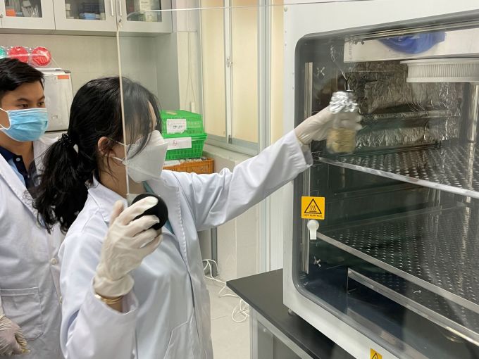 Sinh viên dùng CO2 hãm phát triển nấm mốc trên lúa