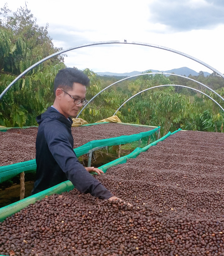 Jrơland Coffee, cà phê sạch của chàng trai người K’Ho