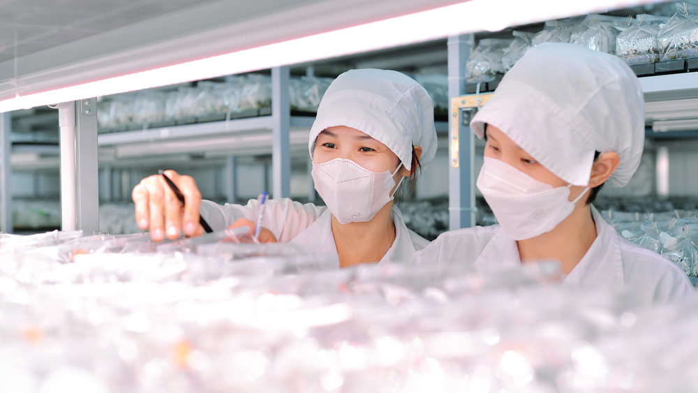 Phát triển và ứng dụng công nghệ sinh học phục vụ sản xuất và đời sống