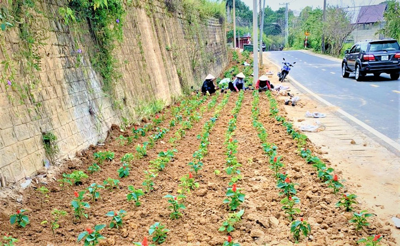 Cho một Đà Lạt ''xanh, sạch, đẹp''
