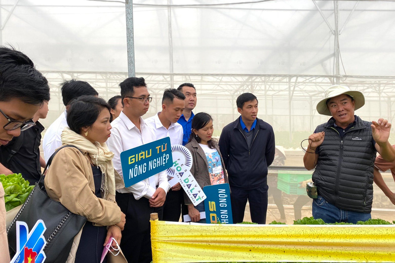 Hỗ trợ thanh niên phát triển nông nghiệp công nghệ cao
