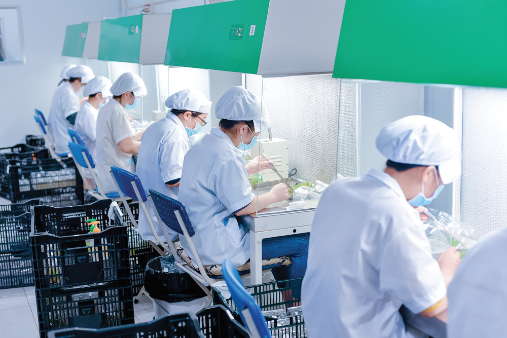 Lâm Đồng và khát vọng Invitro
