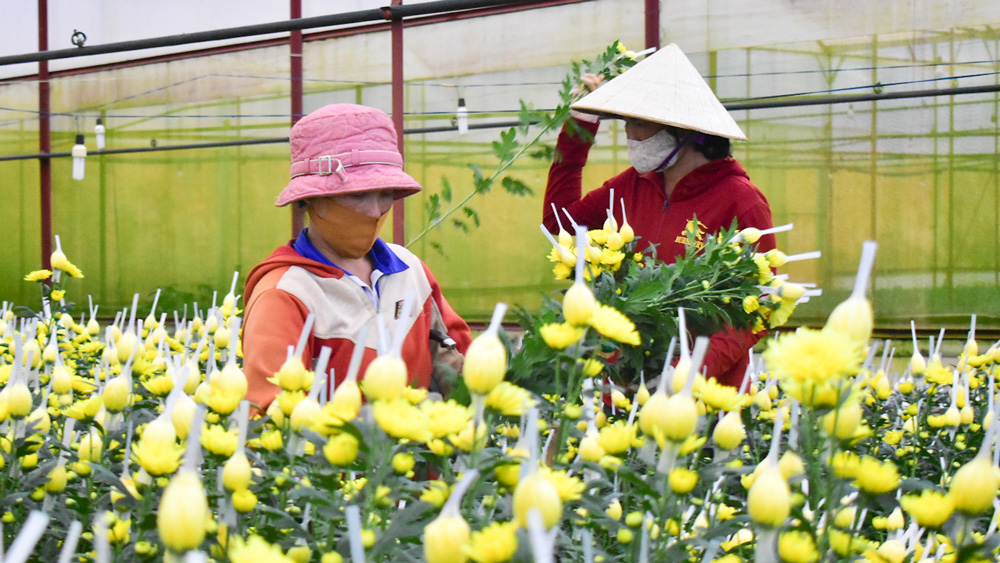 Tuyên truyền đồng bào DTTS ứng dụng công nghệ cao  vào sản xuất nông nghiệp
