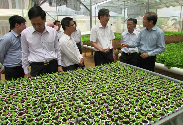 Bí thư Tỉnh ủy Nguyễn Xuân Tiến khảo sát nông nghiệp công nghệ cao, Lan tỏa mô hình làm giàu bền vững, quy mô lớn 